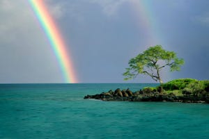 Maui Teaches Us Why We Need to Change Our Data Protection Strategies